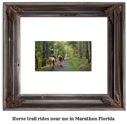 horse trail rides near me in Marathon, Florida